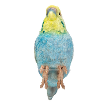 画像をギャラリービューアに読み込む, 縁飾り 水色セキセイインコ|WooBia(ウービア)