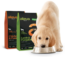 画像をギャラリービューアに読み込む, アレヴァ ナチュラル パピー チキン&パンプキン 2kg|アレヴァ