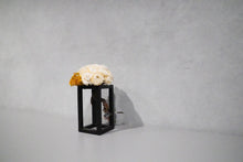 画像をギャラリービューアに読み込む, re盆栽88|TOUFU TOKYO(トウフトウキョウ)