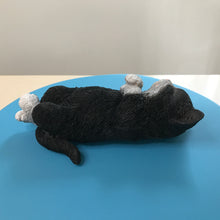 画像をギャラリービューアに読み込む, へそ天 ハチワレ黒白猫|WooBia(ウービア)