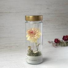 画像をギャラリービューアに読み込む, ラナンキュラスのボトルフラワー|Infini(アンフィニ)