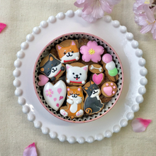 画像をギャラリービューアに読み込む, 柴犬缶 4月桜ver|ケーキ工房 アンドンカフェ(ケーキコウボウ アンドンカフェ)