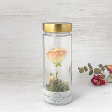 画像をギャラリービューアに読み込む, ラナンキュラスのボトルフラワー|Infini(アンフィニ)