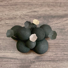 画像をギャラリービューアに読み込む, 炭団オブジェ / 〇+黒+ベージュ|櫂の炭(カイノスミ)