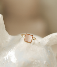 画像をギャラリービューアに読み込む, Juicy (frR-17)|Forest percent(フォレストパーセント)