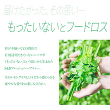 画像をギャラリービューアに読み込む, フレッシュハーブティー レモングラス&ミント|エスビー食品株式会社(エスビーショクヒンカブシキカイシャ)