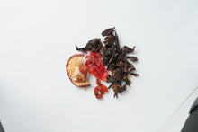 画像をギャラリービューアに読み込む, 白雪姫|花果茶(カカチャ)