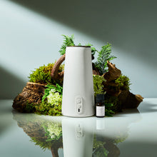 画像をギャラリービューアに読み込む, エコーイング ツリー アロマディフューザー専用フレグランスオイル(10ml)|BÉLAIR LAB(ベレアラボ)