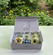 画像をギャラリービューアに読み込む, 【夏季限定】Lemi’s Nature Donuts – Mid Summer Collection~|Lemi's Barkery(レミーズバーカリー)