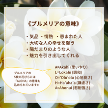 画像をギャラリービューアに読み込む, お風呂OK!金属アレルギー対応!プルメリア&ホヌ・フープピアス|Hiwalani(ヒワラニ)