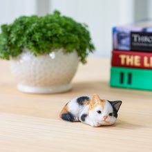 画像をギャラリービューアに読み込む, うつぶせ三毛猫|WooBia(ウービア)