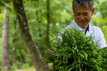 画像をギャラリービューアに読み込む, 森林浴茶 恋-こい- 缶小|森林浴茶(シンリンヨクチャ)