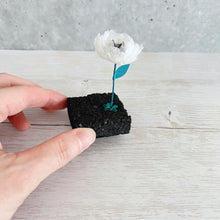 画像をギャラリービューアに読み込む, 炭団オブジェ / □+白|櫂の炭(カイノスミ)