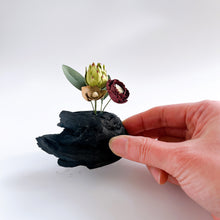 画像をギャラリービューアに読み込む, 炭オブジェ/シックな花を添えて |櫂の炭(カイノスミ)
