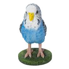 画像をギャラリービューアに読み込む, 揺れる青いセキセイインコ|WooBia(ウービア)