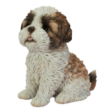 画像をギャラリービューアに読み込む, 頭を上げるシーズー|WooBia(ウービア)