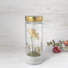 画像をギャラリービューアに読み込む, ラナンキュラスのボトルフラワー|Infini(アンフィニ)