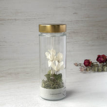 画像をギャラリービューアに読み込む, シクラメンのボトルフラワー|Infini(アンフィニ)