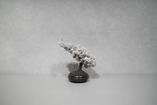 画像をギャラリービューアに読み込む, re盆栽90|TOUFU TOKYO(トウフトウキョウ)