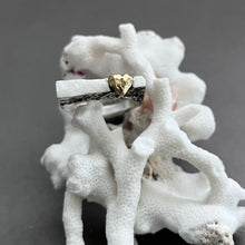 画像をギャラリービューアに読み込む, PRECIOUS IN THE ROCK (21)|Truph.BIJOUX(トリュフビジュー)
