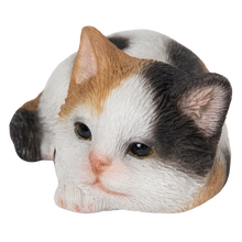 画像をギャラリービューアに読み込む, うつぶせ三毛猫|WooBia(ウービア)