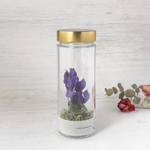 画像をギャラリービューアに読み込む, シクラメンのボトルフラワー|Infini(アンフィニ)