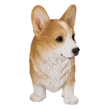 画像をギャラリービューアに読み込む, 左向きに立つウェルシュコーギー|WooBia(ウービア)
