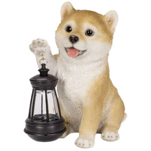 画像をギャラリービューアに読み込む, ソーラーランプを持つ柴犬|WooBia(ウービア)