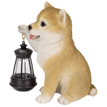 画像をギャラリービューアに読み込む, ソーラーランプを持つ柴犬|WooBia(ウービア)