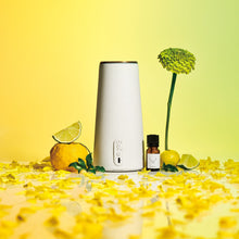 画像をギャラリービューアに読み込む, エンブレイシング ユズ アロマディフューザー専用フレグランスオイル(10ml)|BÉLAIR LAB(ベレアラボ)
