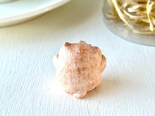 画像をギャラリービューアに読み込む, 愛を伝えるウォンバットさん|手ノヒラ堂(テノヒラドウ)