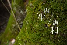 画像をギャラリービューアに読み込む, 季節の森林浴茶5種セット|森林浴茶(シンリンヨクチャ)