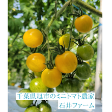 画像をギャラリービューアに読み込む, ミニトマトジュース 黄180ml|お日様えくぼ(オヒサマエクボ)