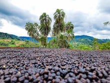 画像をギャラリービューアに読み込む, ドリップバッグ エチオピア 2個セット|とらまめロースタリー