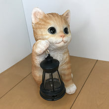 画像をギャラリービューアに読み込む, ソーラーランプを右手で持ち上げる茶トラ猫|WooBia(ウービア)