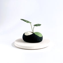画像をギャラリービューアに読み込む, 炭団オブジェ/南国風リーフをあなたの空間に〜3|櫂の炭(カイノスミ)