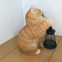 画像をギャラリービューアに読み込む, ソーラーランプを右手で持ち上げる茶トラ猫|WooBia(ウービア)