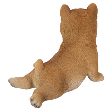 画像をギャラリービューアに読み込む, ストレッチ柴犬|WooBia(ウービア)