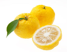 画像をギャラリービューアに読み込む, リーフシトラス柚子|Le Café de Pomme(ル カフェ ドゥ ポム)
