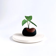 画像をギャラリービューアに読み込む, 炭団オブジェ/南国風リーフをあなたの空間に〜1|櫂の炭(カイノスミ)