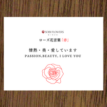 画像をギャラリービューアに読み込む, Crystal Rose ~クリスタルローズ~ RED|GINZA SOBI FLOWERS(ギンザ ソビ フラワーズ)