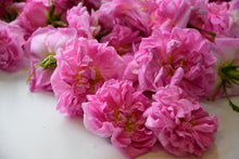 画像をギャラリービューアに読み込む, 美容のサポート|箱根山麓ハーブTreize13(ハコネサンロクハーブトレーズ)