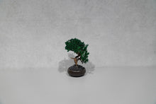 画像をギャラリービューアに読み込む, re盆栽77|TOUFU TOKYO(トウフトウキョウ)