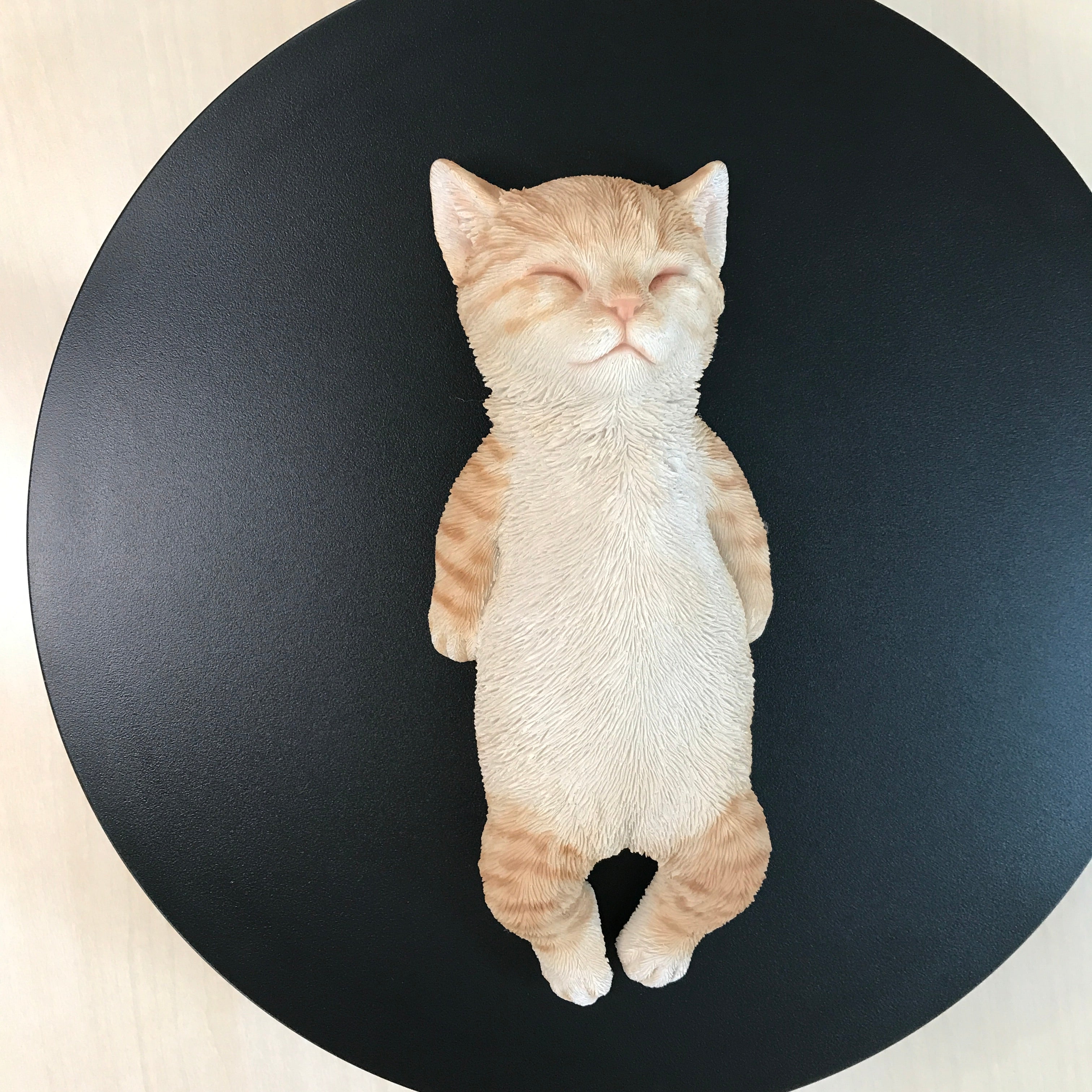 へそ天 茶トラ猫｜WooBia（ウービア） – CHOOSEBASE SHIBUYA