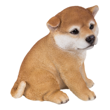 画像をギャラリービューアに読み込む, 右向きお座り秋田犬|WooBia(ウービア)