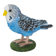 画像をギャラリービューアに読み込む, 揺れる青いセキセイインコ|WooBia(ウービア)