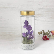 画像をギャラリービューアに読み込む, シクラメンのボトルフラワー|Infini(アンフィニ)