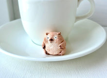 画像をギャラリービューアに読み込む, なんにもしてないけどゴキゲンなウォンバットさん|手ノヒラ堂(テノヒラドウ)