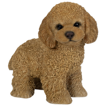 画像をギャラリービューアに読み込む, 右向きに立つトイプードル(アプリコット)|WooBia(ウービア)