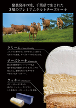 画像をギャラリービューアに読み込む, タルトチーズケーキ Ichiban Boshi(イチバンボシ)|新風堂(シンプウドウ)|新風堂(シンプウドウ)